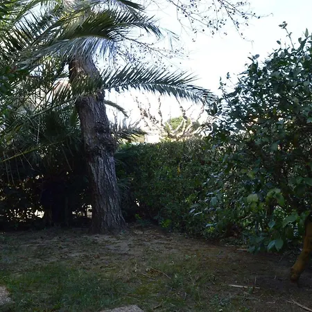 Apartment T2 Avec Piscine, Jardinet Et Parking A 250m De La A Saint-cyprien - Fr-1-225d-22 *